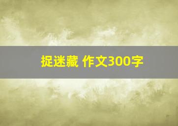 捉迷藏 作文300字